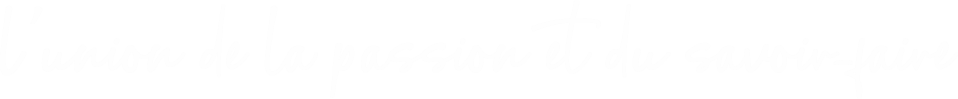 SALVO BASELINE BLANC